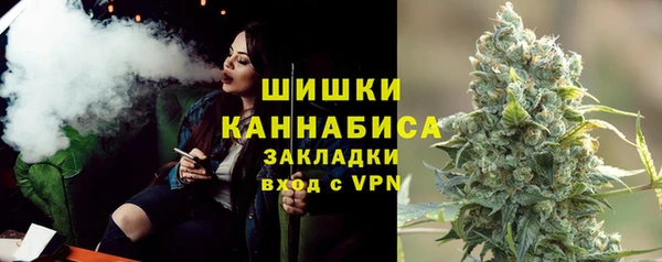 spice Алзамай