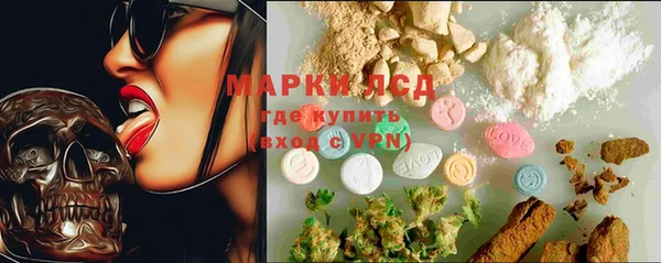 spice Алзамай