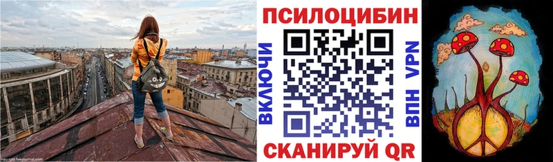 где можно купить Игра Галлюциногенные грибы Cubensis
